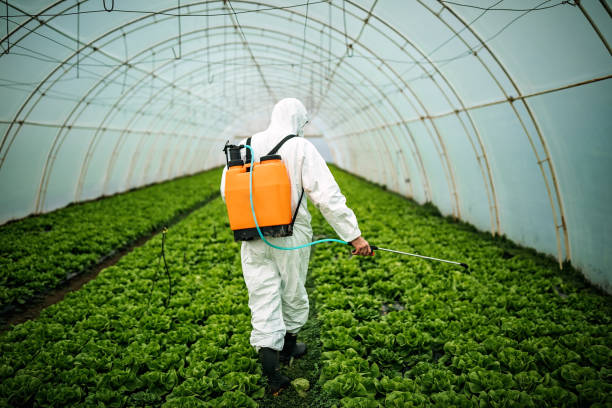 Best Pest Control Near Me  in San Carlos, AZ