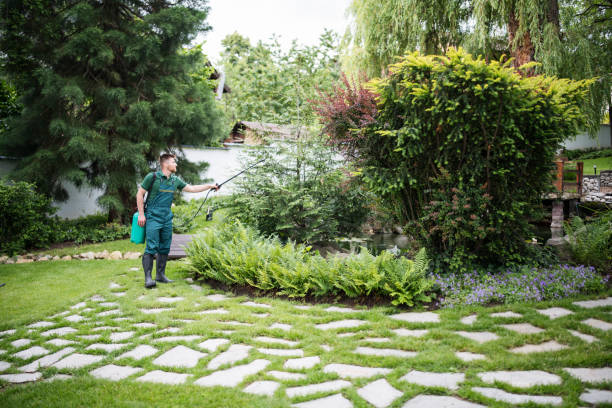 Best Exterminator Services  in San Carlos, AZ
